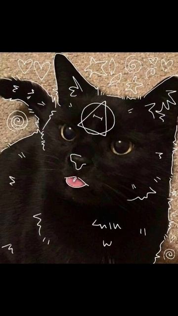 #териан #квадробика #топ #therian #animals #спорт #когти