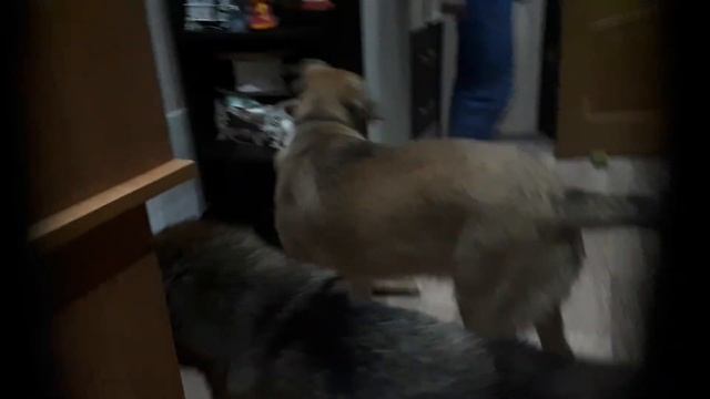 26 апреля 2020 г.