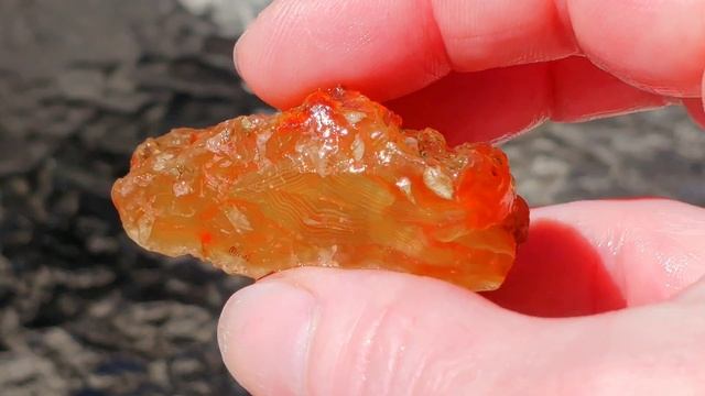 CARNELIANS from KALAMA, WA #thefinders