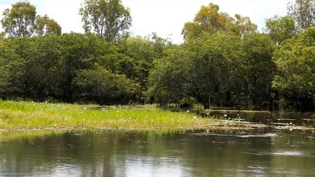 Australia - Yellow Water Billabong Kakadu Northern Territory
