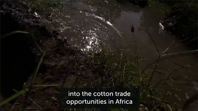 WTO/ITC Cotton Portal