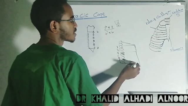 1- Thoracic cage anatomy