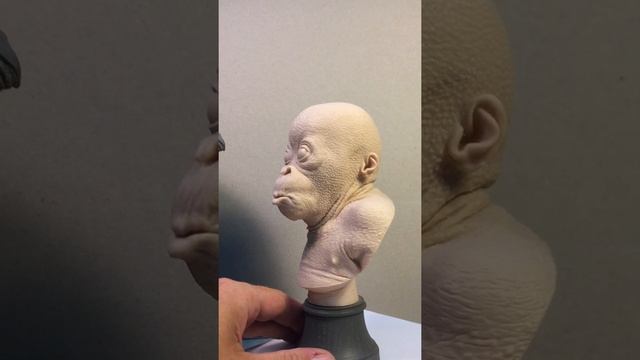 Orangutan Bust 002