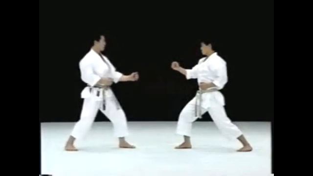 Yori ashi gyaku zuki by Kagawa sensei  MORE ABOUT KARATE AT  www keishinkandojo org