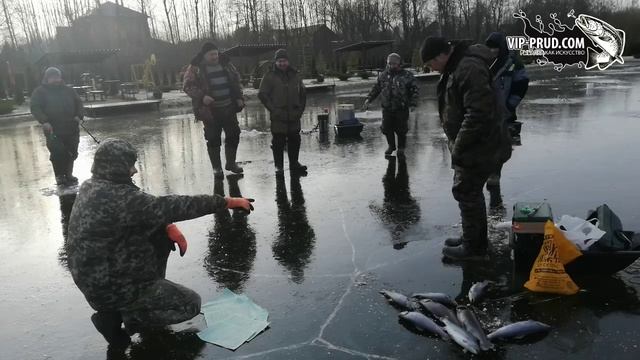 платная рыбалка 24.11.19