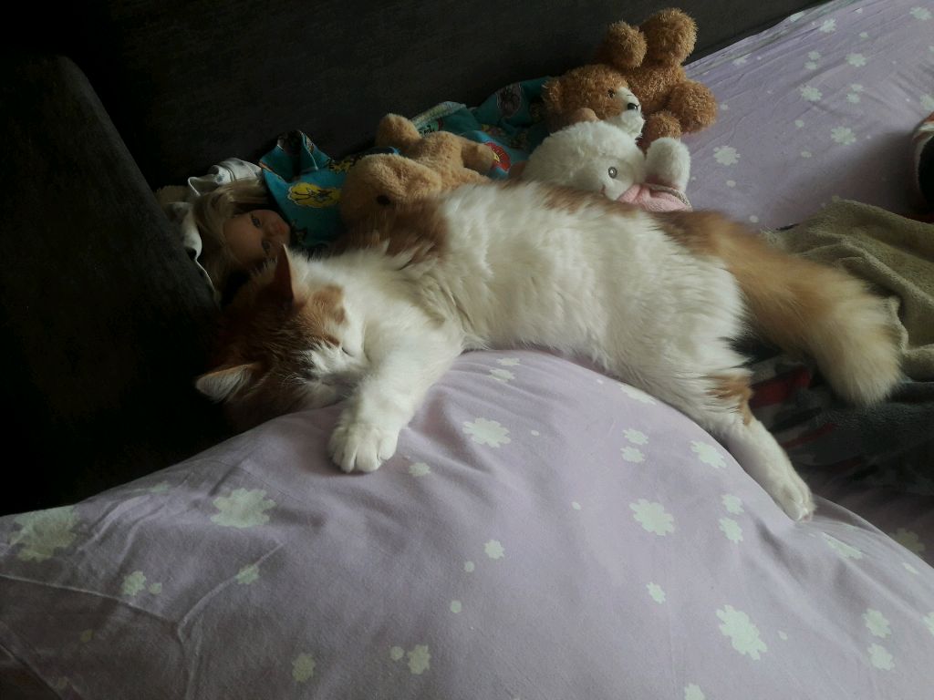 мы с Лизой играем
