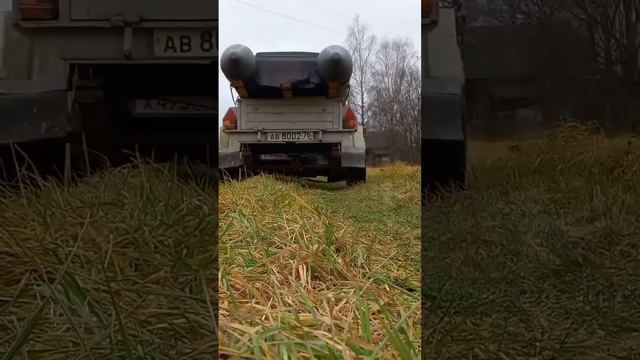 Опа