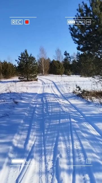 Прогулка 🚶