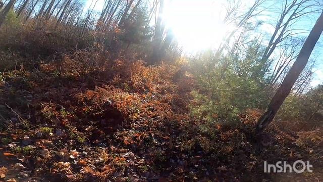 Pa Trapping 2020 S.2 E.4 first coyote of year