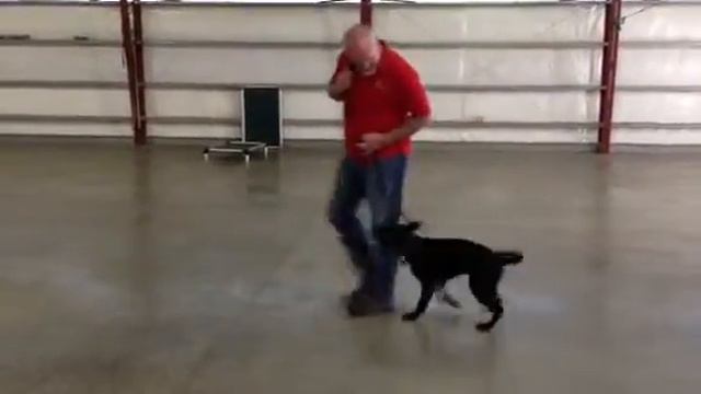 Copy of Freya Von Prufenpuden