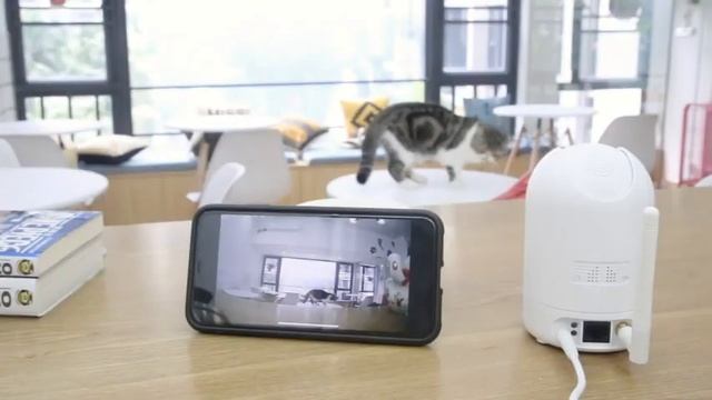 Foscam 1080P Full HD Outdoor Bullet IP Camera,25fps WiFi Surveillance Camera with Human-Only Review