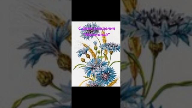 Поздравление другу🌹🌹🌹