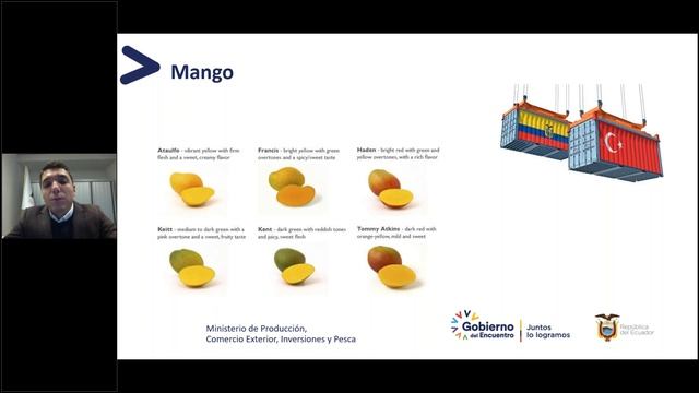 Importación de aguacate, piña y mango en el mercado turco