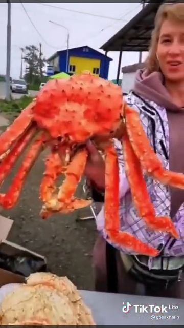 Крабы.Сахалин.