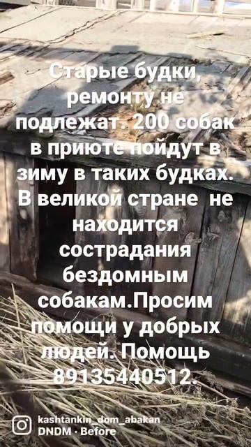 Сказки из жизни.Собакам в приюте необходимы будки. Помощь89135440512.
