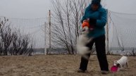 Пиявка)