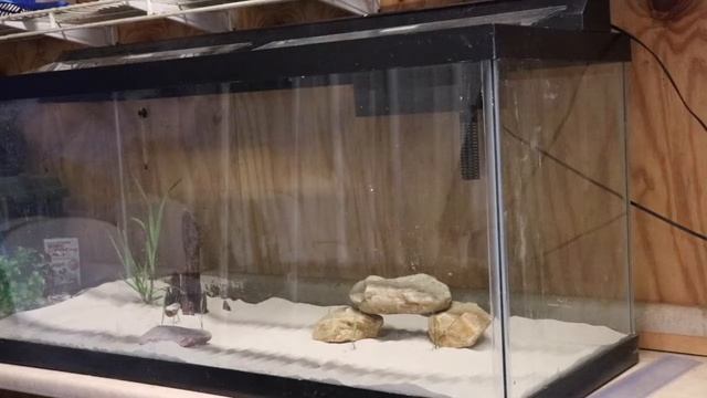 REMODELING MY 75 GAL FISH TANK