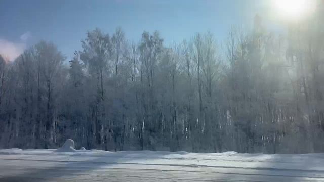 BioTeach Снежная дорога