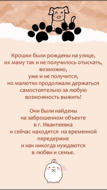 ‼ Малыши остались без дома и ищут родителей ‼ 🆘