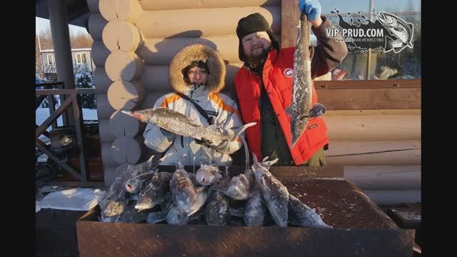 Зачем столько осетра?! Столько я ещё никогда не видел.