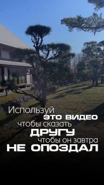 Без лишних слов