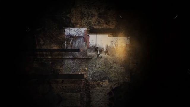 Проект "Наши" - Сокол.