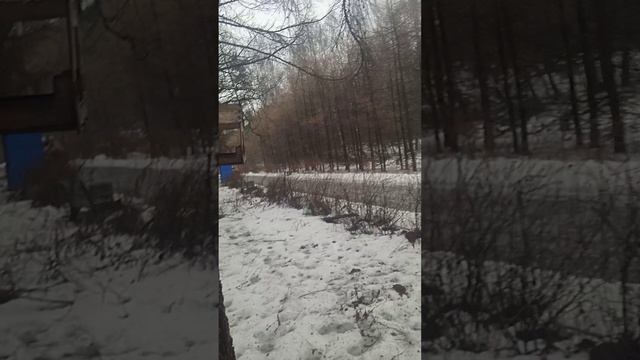 Наполняю кормушки для птиц и не только