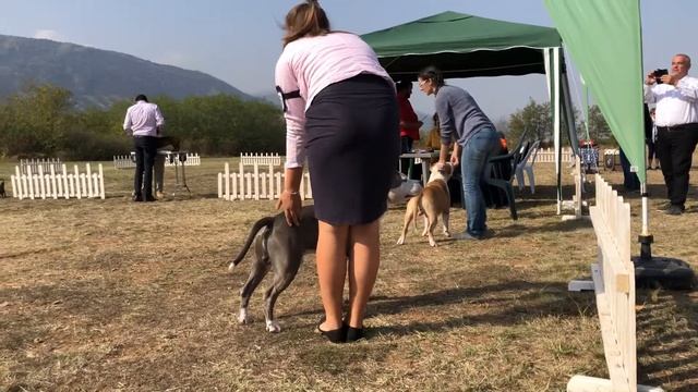 Сравнение на ЛК