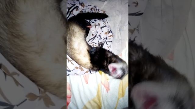 Ты пришла!