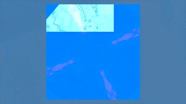 COLIN JOHNCO - Earth G (Feat. Damon Eliza Palermo)