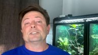 Turning your chameleon screen cage into a hybird cage!