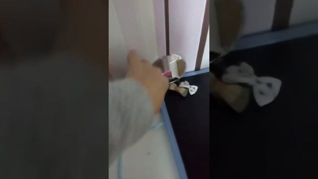 Мой кролик брелок Белла