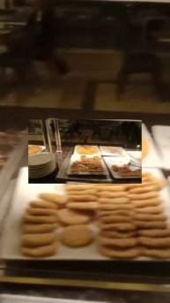 فندق beach albatros