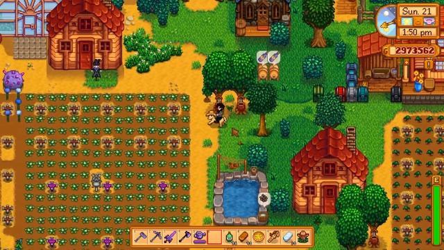 How To: Organize & Profit on Forest Farm in Stardew | 1.5 & 1.6 |