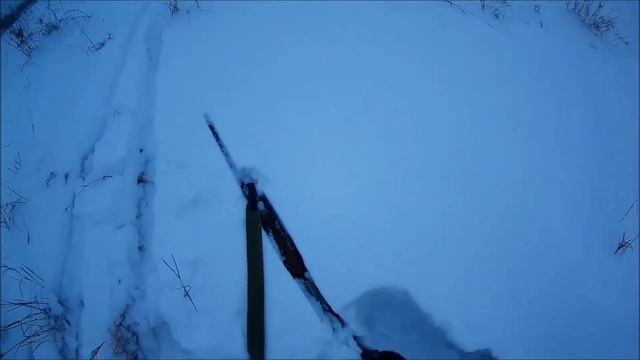 Охота на Зайца "Прозевал Косого"