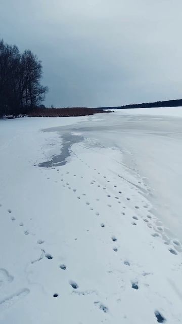 Экспедиция к Волге