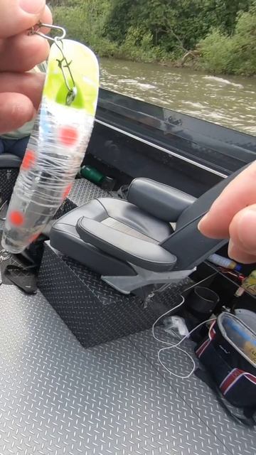 The PERFECT High Water Spring Salmon Fishing TACTICS!!! #shorts #fishing #salmonfishing #salmon