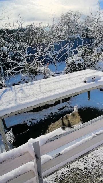 Погода на юге снегопад в Абхазии