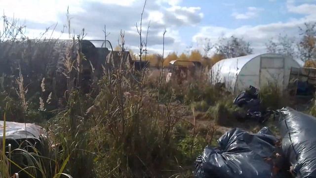 15.10.22. #врединамедведина и остальные...