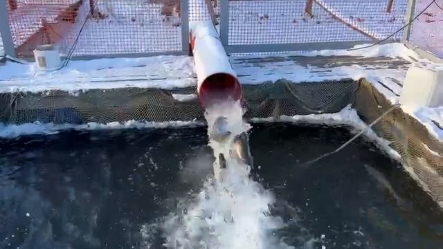 22.02 25 г. РК Волна.