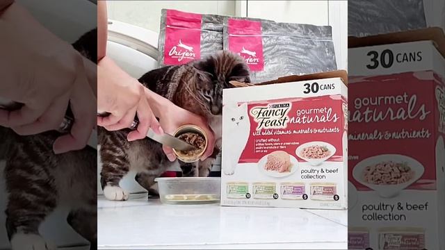 Unboxing New Purina Fancy Feast Gourmet Naturals Poultry & Beef Collection Wet Cat Food Variety Pac