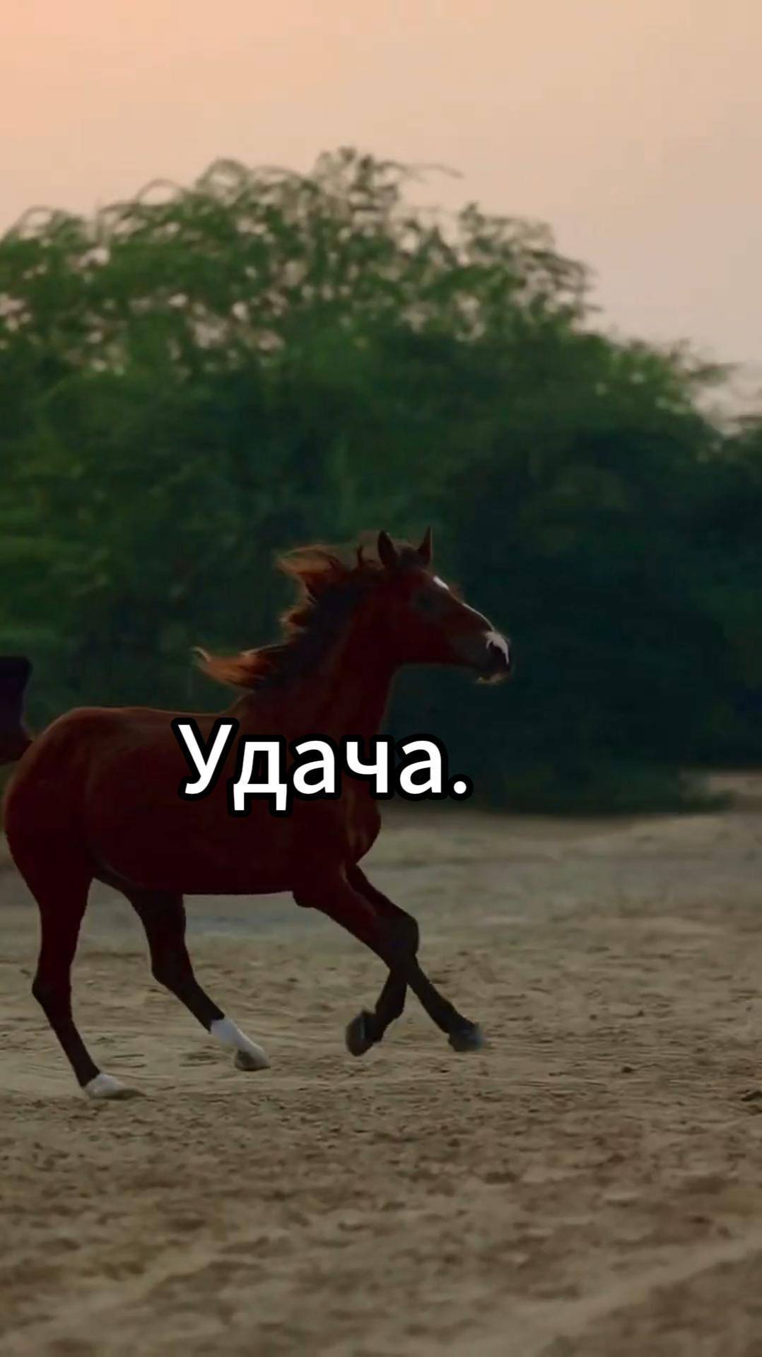 Ты не успешный?  #мотивация #вдохновение #успех #позитив #саморазвитие #цели
