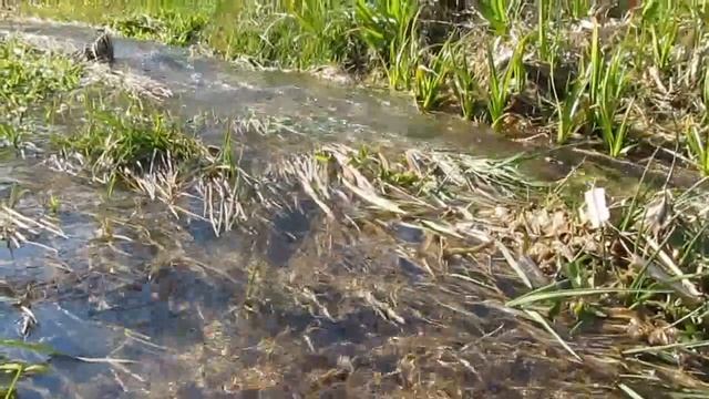 ВЕЛОМАНДРІВКА     КРИХІВЕЦЬКА НАБЕРЕЖНА