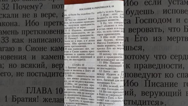 Моя небесная протестантская Правда.