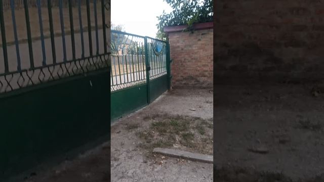 Мріяла приготувати смачний обід,А вийшла вечеря.Зварила нові сири.