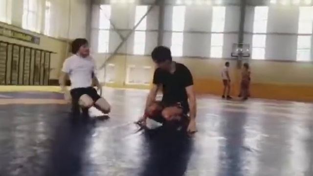 Борьба Вольная