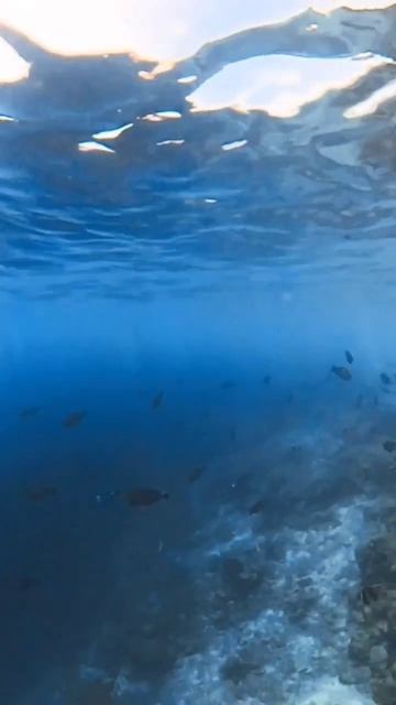 swimming down the wrong way of the fishy highway!! 💥
