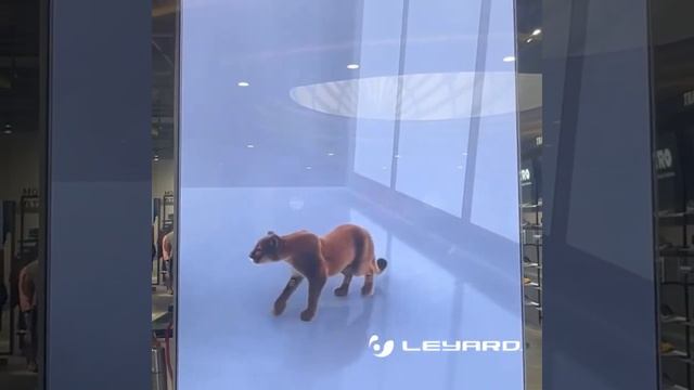 Leyard MG для Puma Store