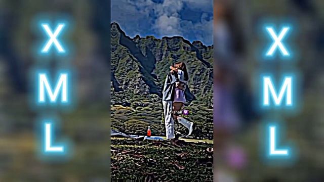Jun tara sachera ✨️😌👀 ||Nepali song xml || Alight motion ||