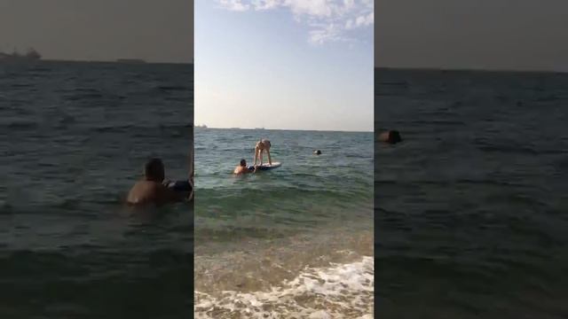 Путешествия чудеса Света, забавные животные